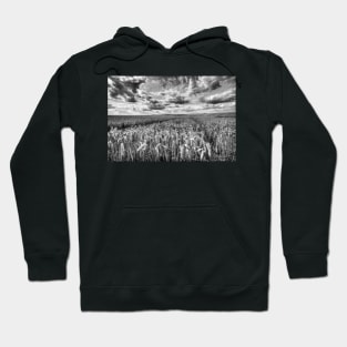 Time For Harvest Hoodie